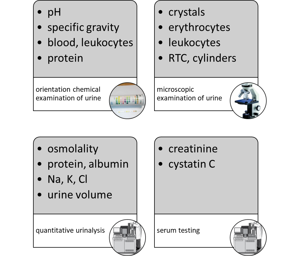 Clinical biochemistry Kidney disease